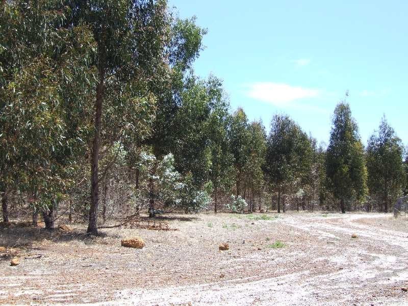 31 Sears cl, Donnybrook WA 6239