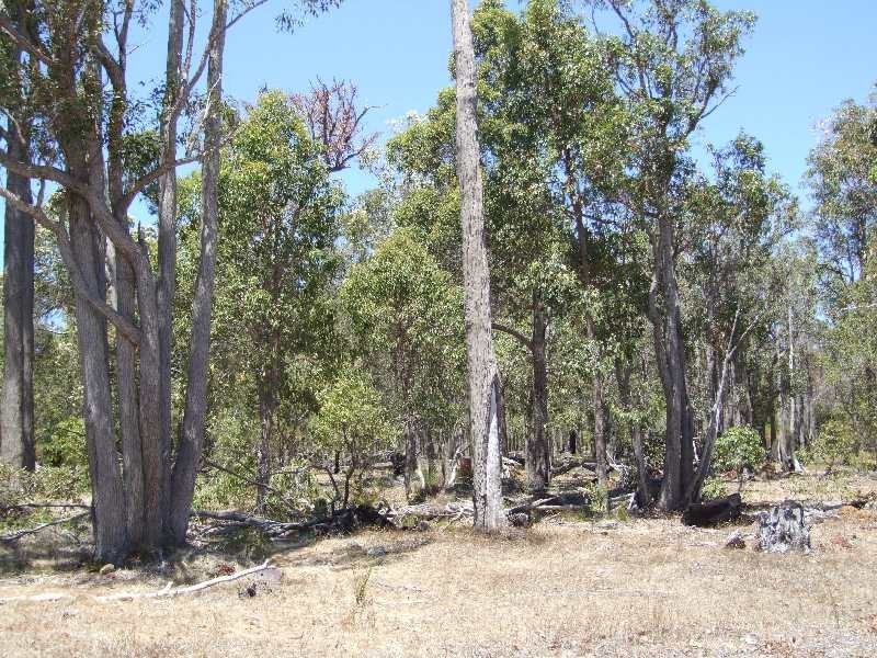 31 Sears cl, Donnybrook WA 6239