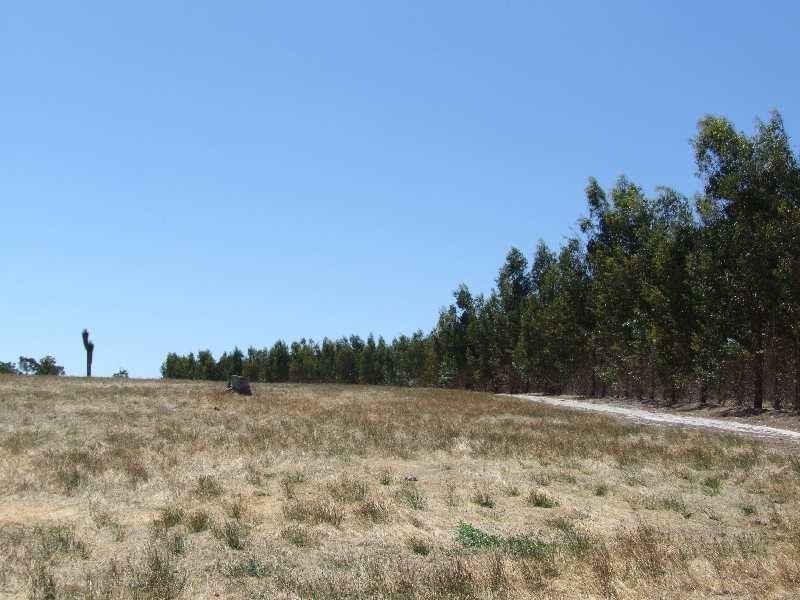 31 Sears cl, Donnybrook WA 6239