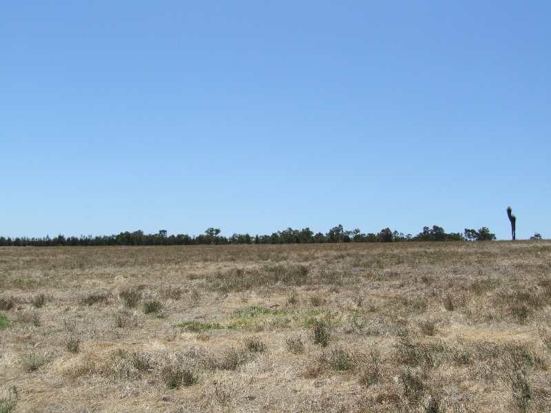 31 Sears cl, Donnybrook WA 6239