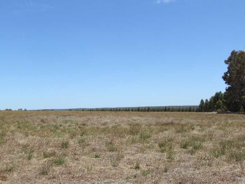 31 Sears cl, Donnybrook WA 6239