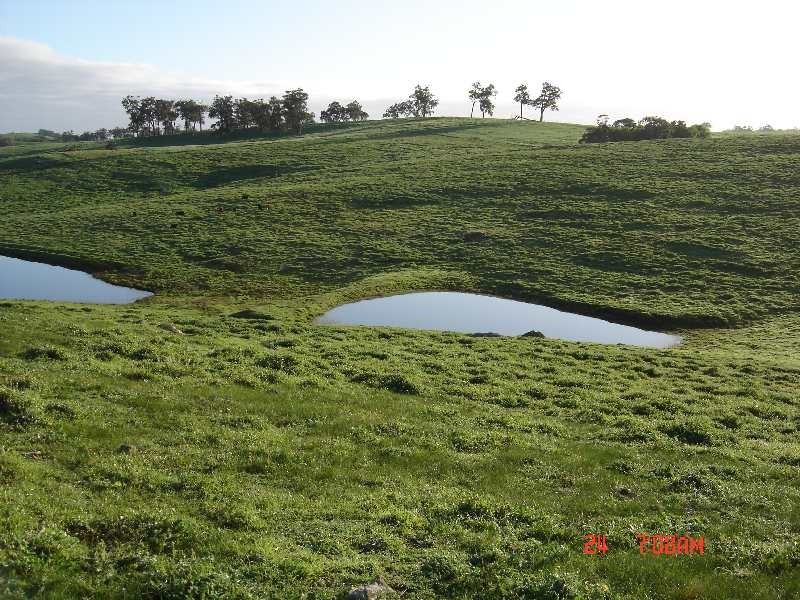 1099 Upper Capel Road, Donnybrook WA 6239