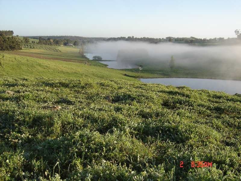 1099 Upper Capel Road, Donnybrook WA 6239