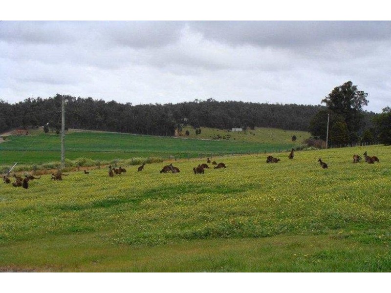 8 Billinghurst Road, Argyle WA 6239