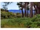 129 Morrissey Road, Yabberup, Donnybrook WA 6239