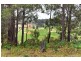 129 Morrissey Road, Yabberup, Donnybrook WA 6239