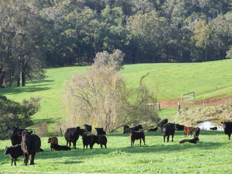 Forrest Road, Donnybrook WA 6239