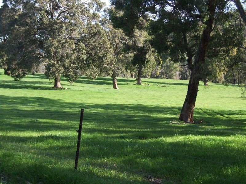 Forrest Road, Donnybrook WA 6239