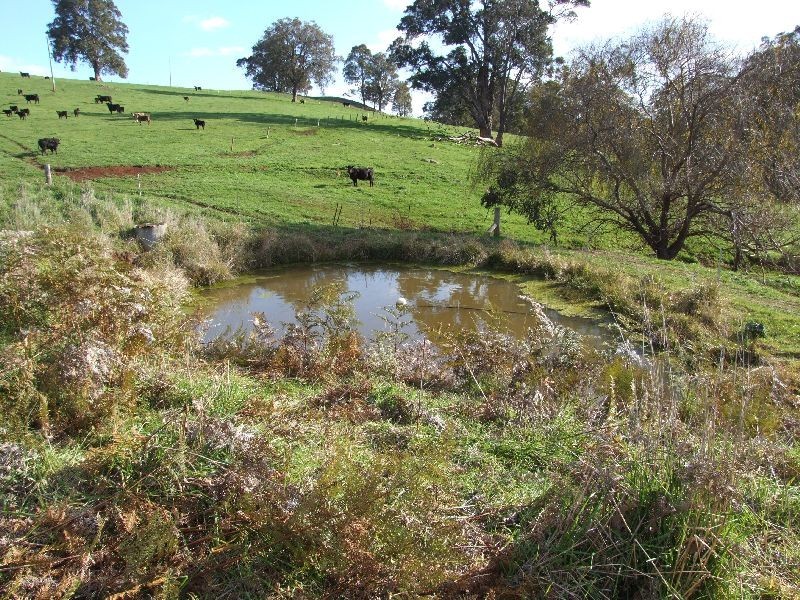 Forrest Road, Donnybrook WA 6239