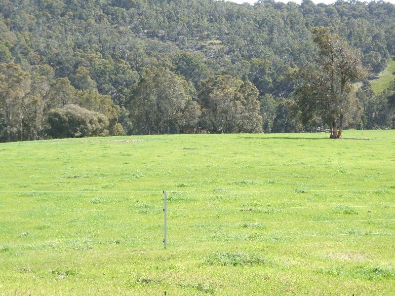 Forrest Road, Donnybrook WA 6239