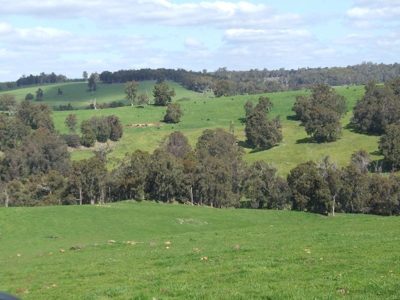 Forrest Road, Donnybrook WA 6239