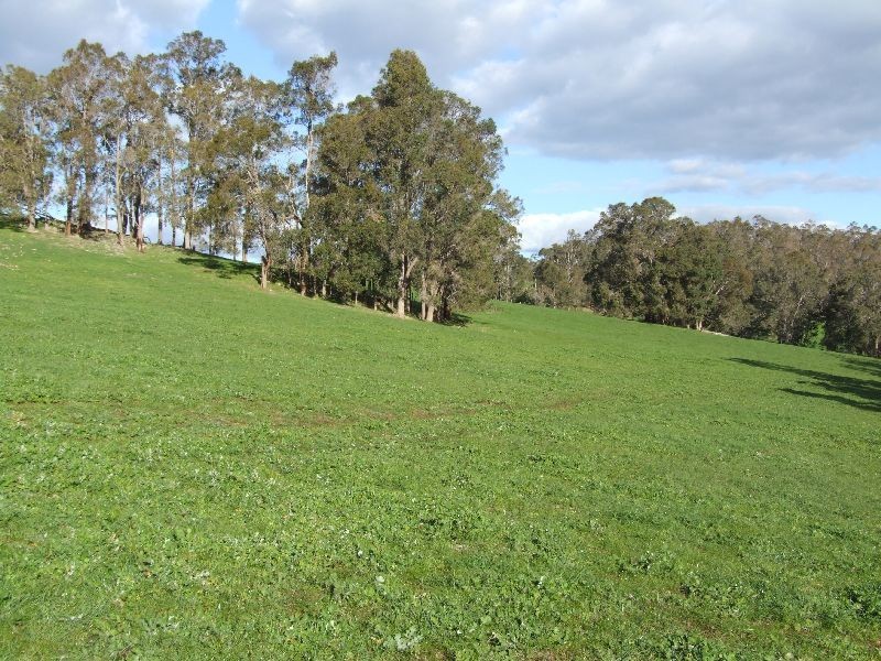 Forrest Road, Donnybrook WA 6239