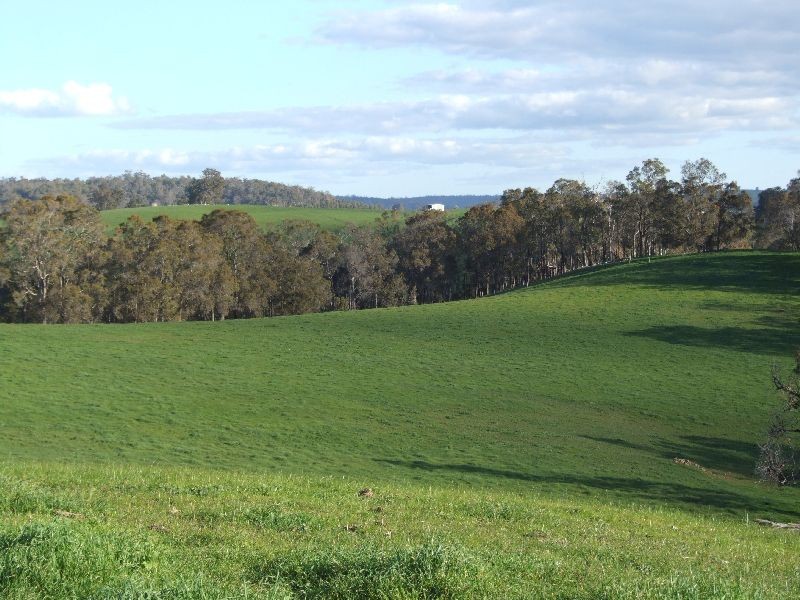 Forrest Road, Donnybrook WA 6239