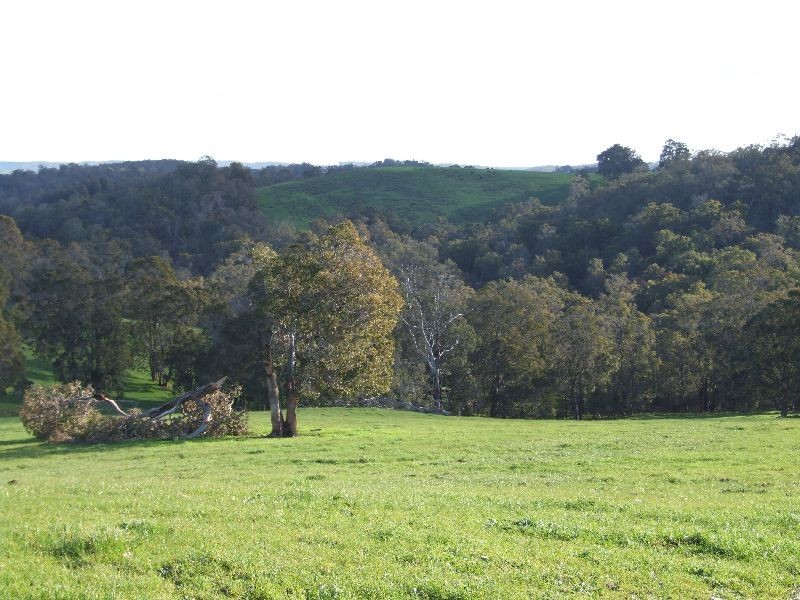 Forrest Road, Donnybrook WA 6239