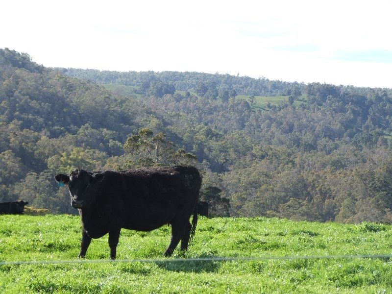 Forrest Road, Donnybrook WA 6239