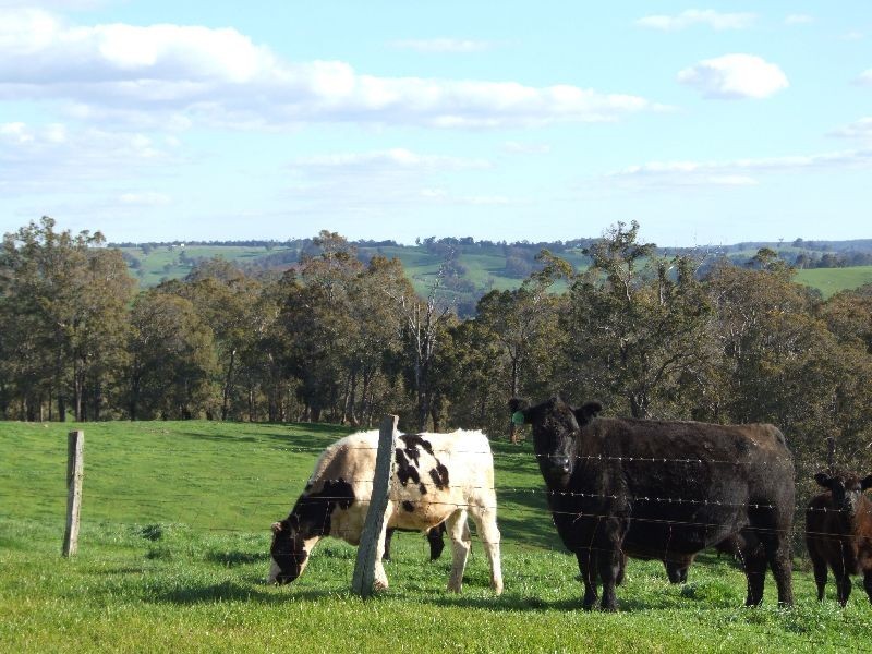 Forrest Road, Donnybrook WA 6239