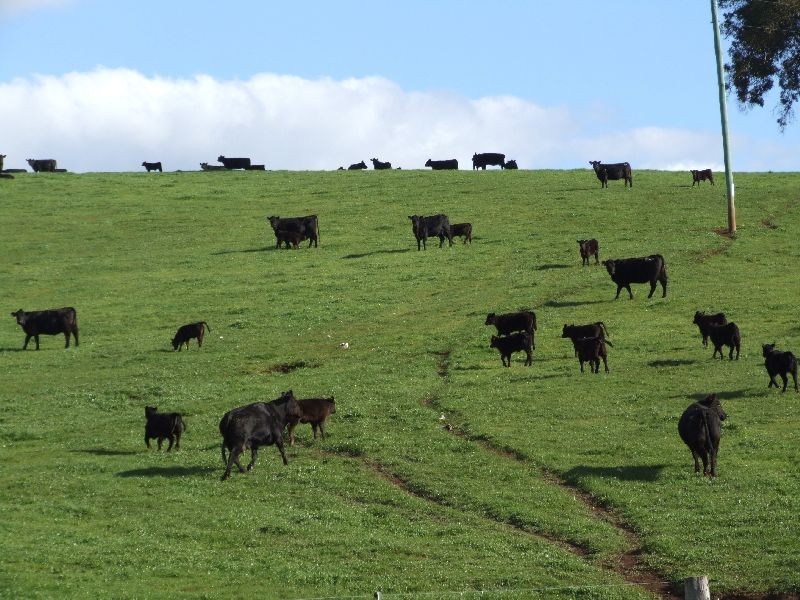 Forrest Road, Donnybrook WA 6239