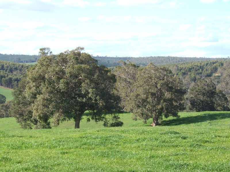 Forrest Road, Donnybrook WA 6239