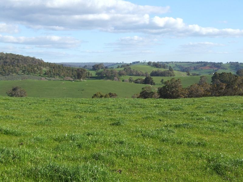 Forrest Road, Donnybrook WA 6239