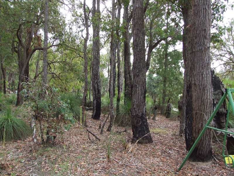 211 Irishtown Road, Donnybrook WA 6239