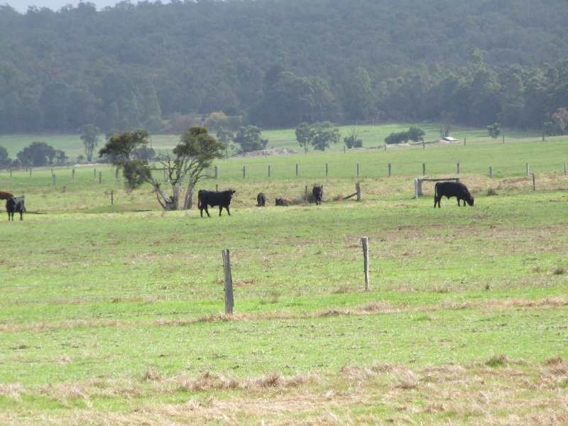 20594 South Western Hwy, Kirup WA 6251