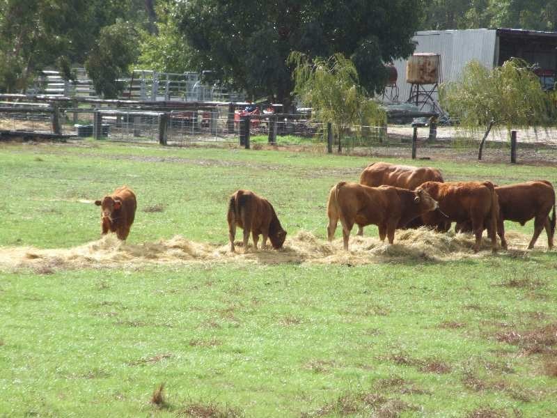 20594 South Western Hwy, Kirup WA 6251