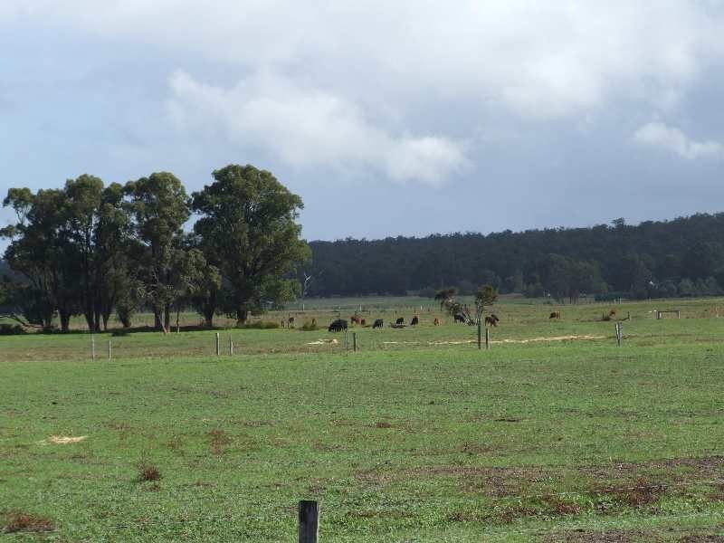 20594 South Western Hwy, Kirup WA 6251