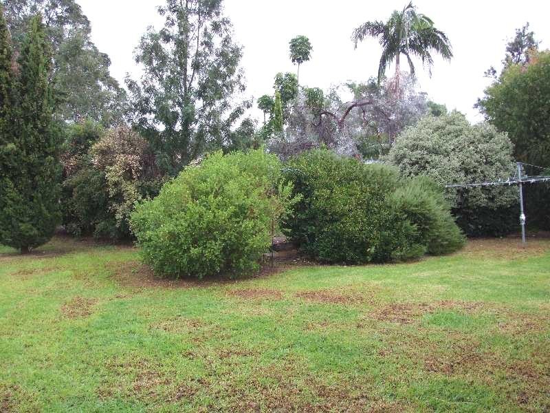 19 Fleet Street, Donnybrook WA 6239