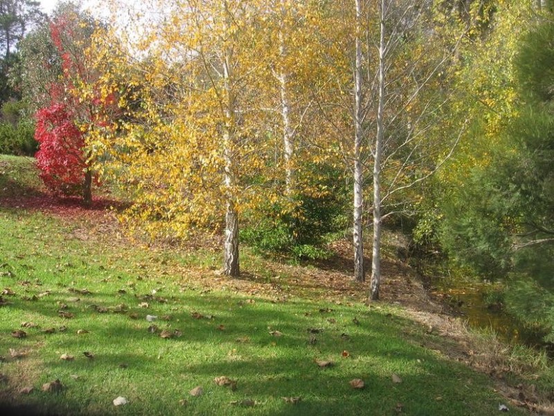 36 Jayes Road, Balingup WA 6253