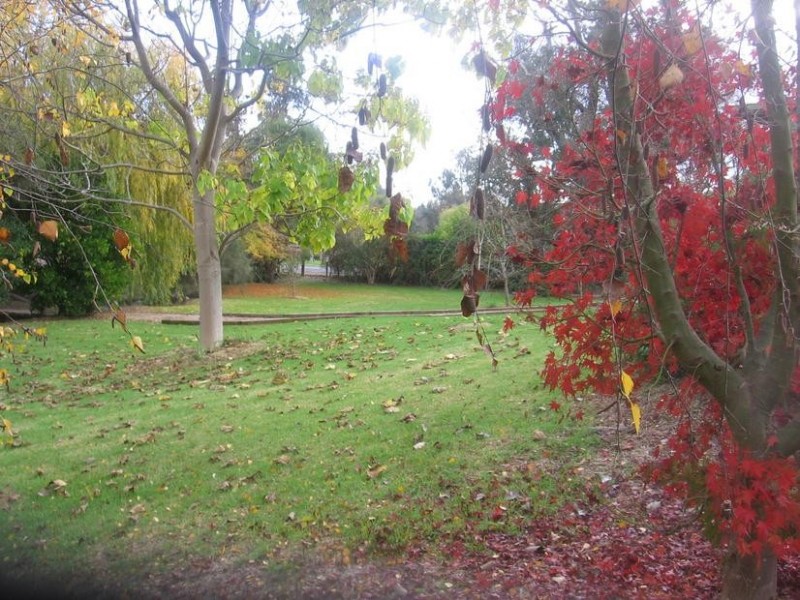 36 Jayes Road, Balingup WA 6253