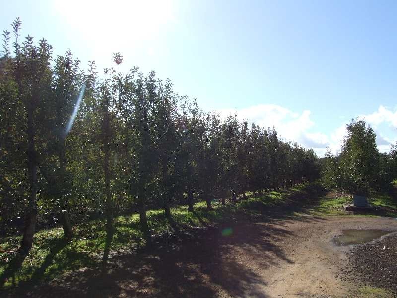 1 River Road, Donnybrook WA 6239