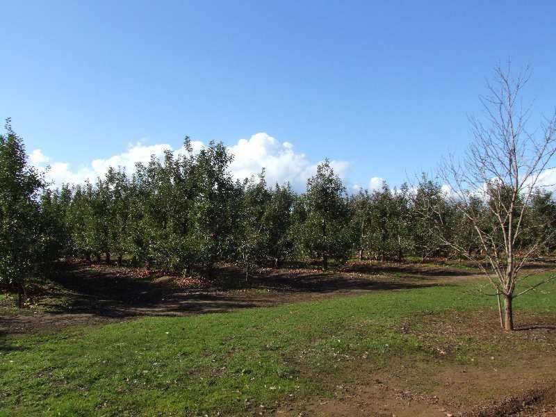 1 River Road, Donnybrook WA 6239