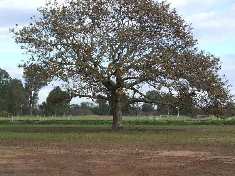 17172 South Western Highway, Boyanup WA 6237