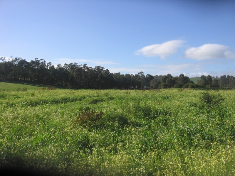 Lot 147 Hamilton Street, Donnybrook WA 6239