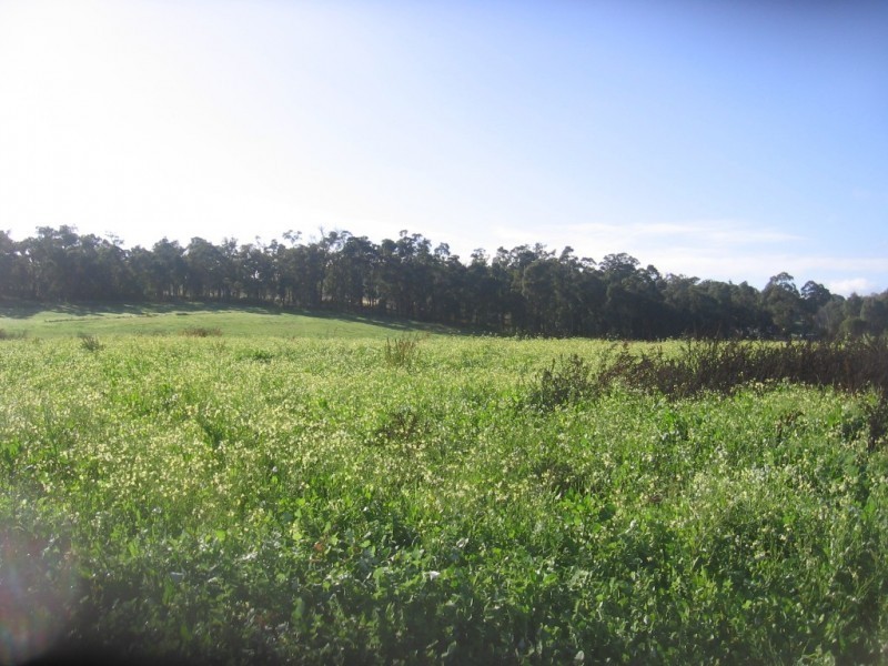 Lot 147 Hamilton Street, Donnybrook WA 6239