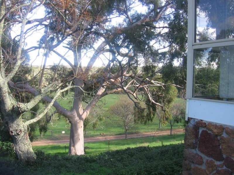 67 Gemmell Road, Argyle WA 6239