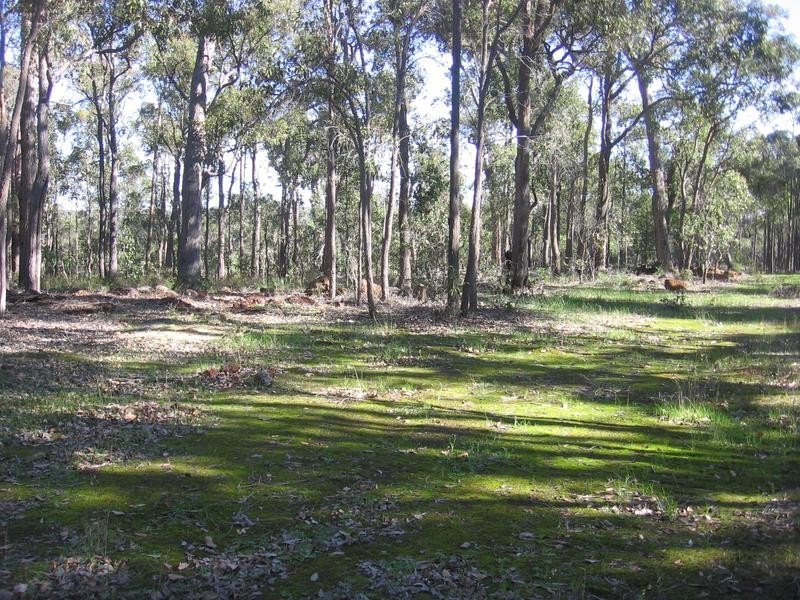 67 Myrtle Ridge, Argyle WA 6239