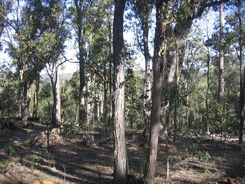 67 Myrtle Ridge, Argyle WA 6239