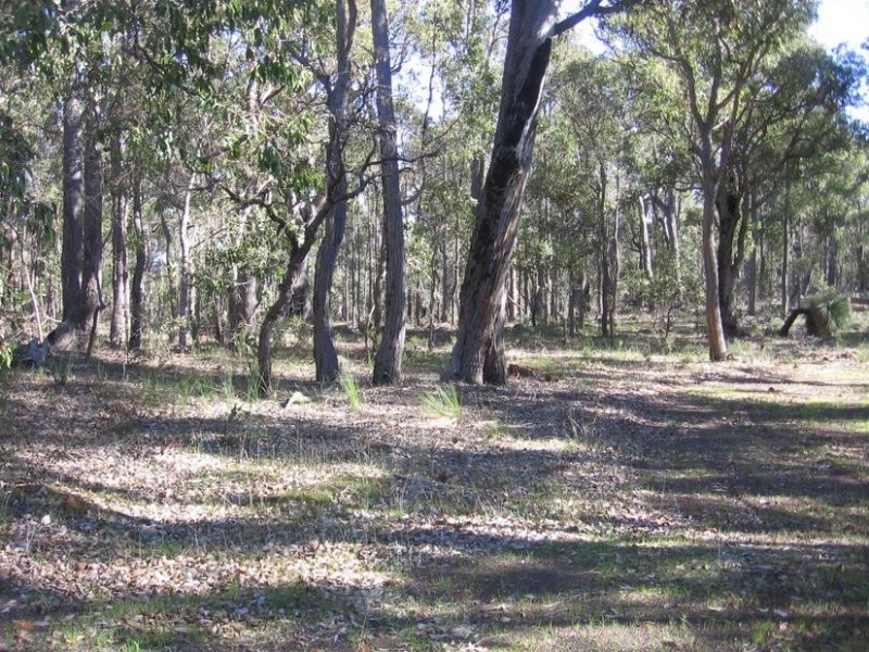 67 Myrtle Ridge, Argyle WA 6239