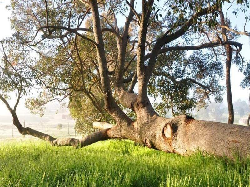 42 Howlett Ramble, Donnybrook WA 6239