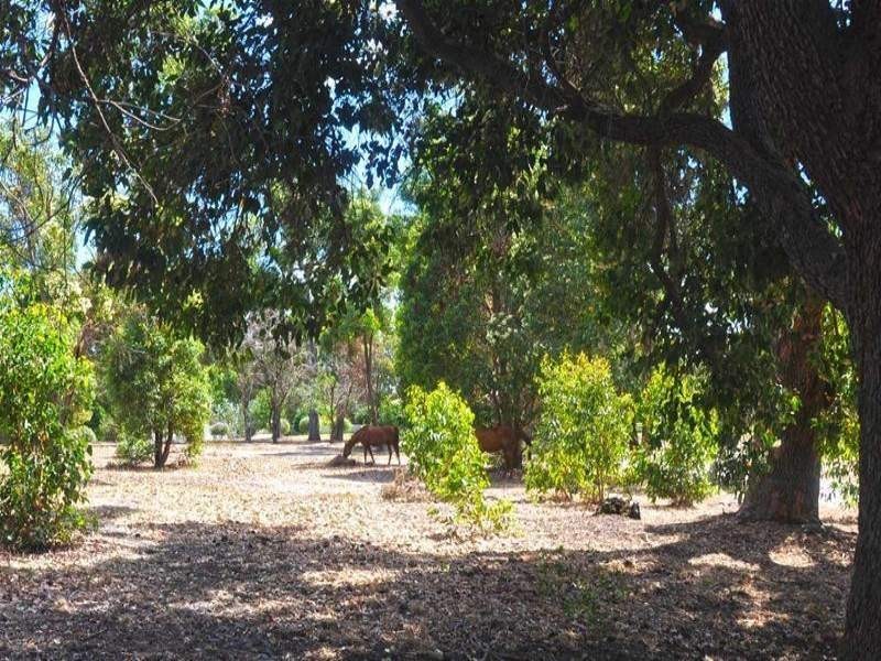 42 Howlett Ramble, Donnybrook WA 6239