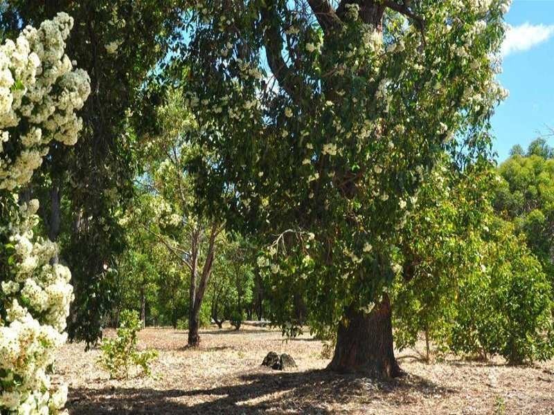 42 Howlett Ramble, Donnybrook WA 6239