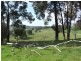 Lot 278, 3152 King Spring Rd, Donnybrook WA 6239