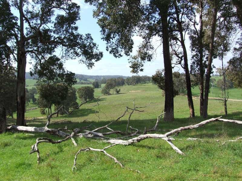 Lot 278, 3152 King Spring Rd, Donnybrook WA 6239