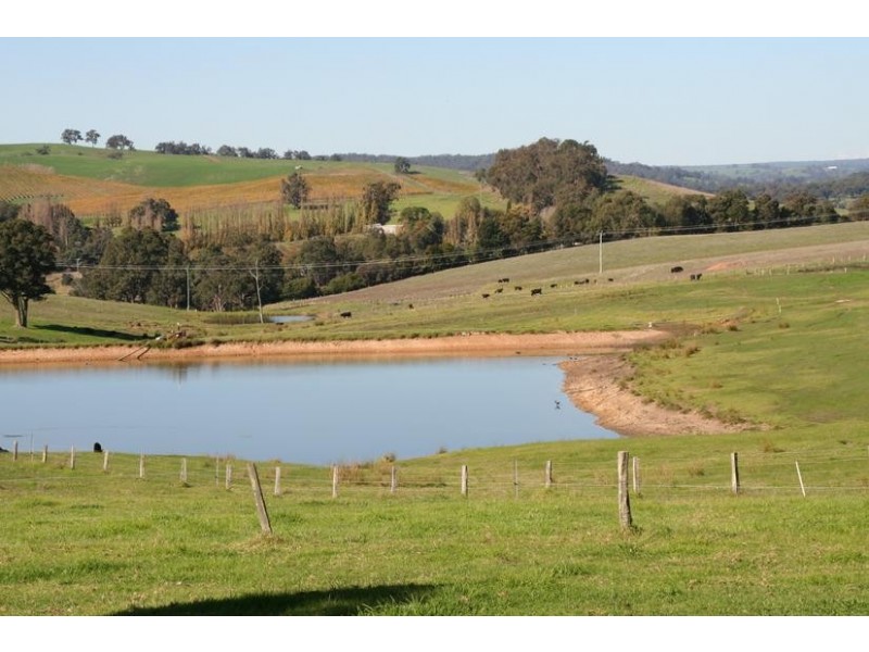 Beelerup Road, Donnybrook WA 6239