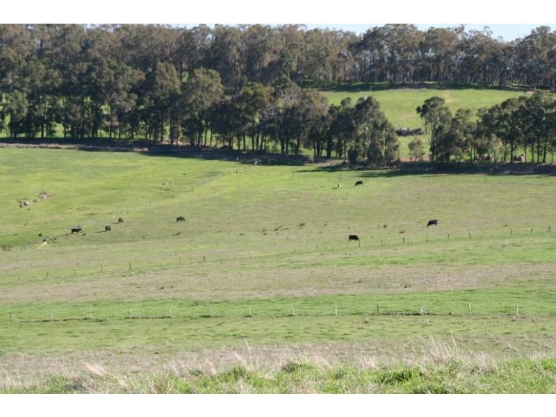 Beelerup Road, Donnybrook WA 6239