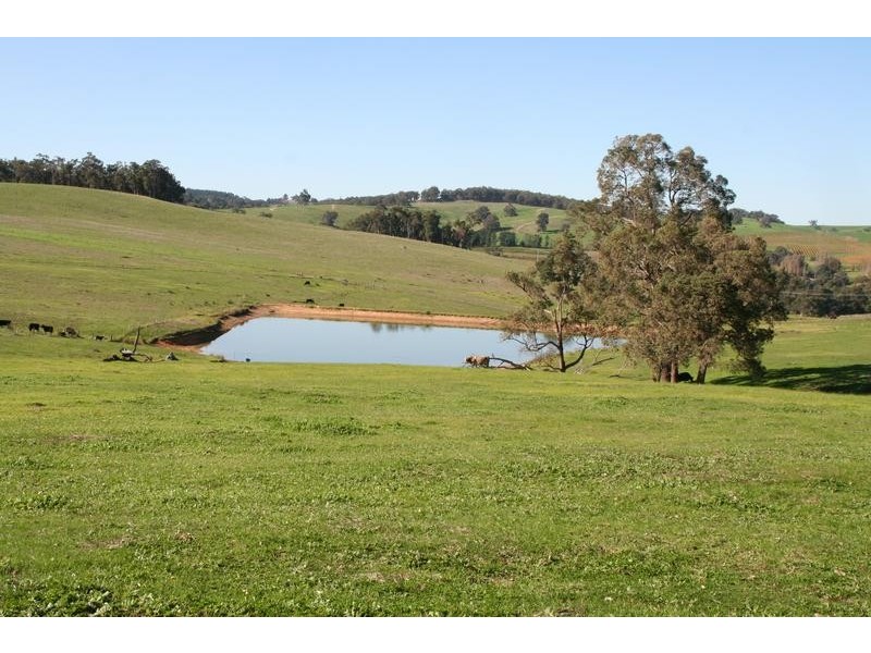 Beelerup Road, Donnybrook WA 6239