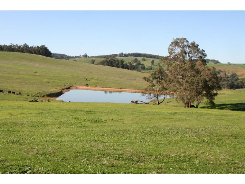 Beelerup Road, Donnybrook WA 6239