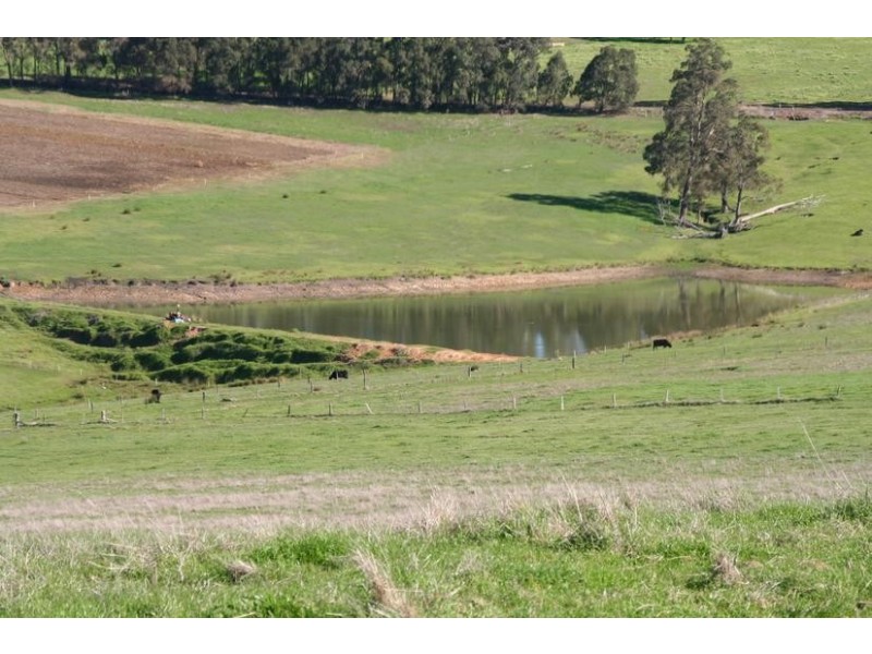 Beelerup Road, Donnybrook WA 6239