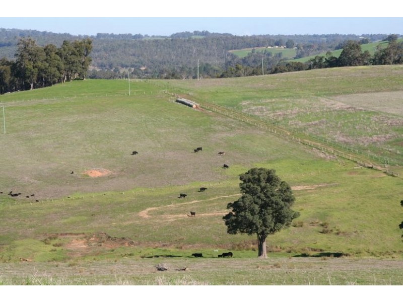 Beelerup Road, Donnybrook WA 6239